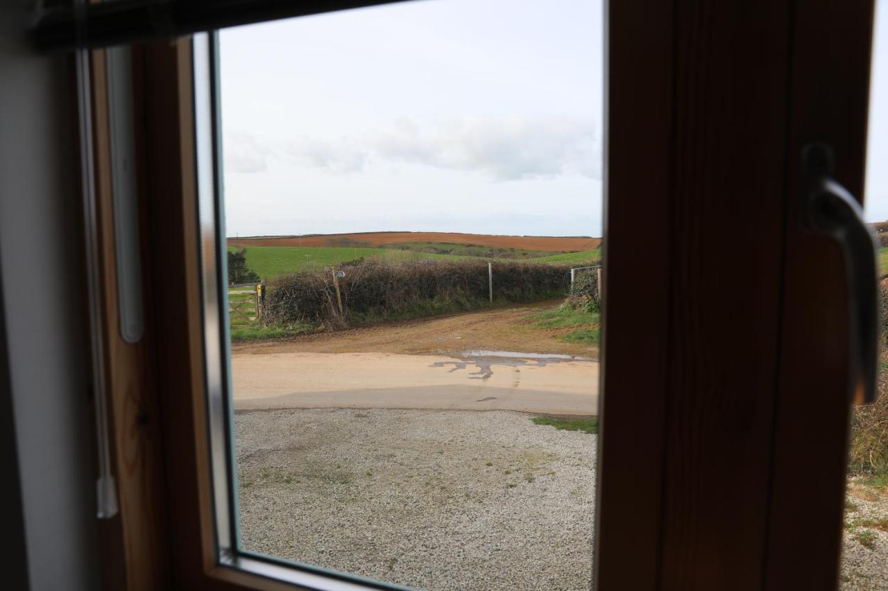 Northlight, Port Isaac Bay Holidays Exterior photo